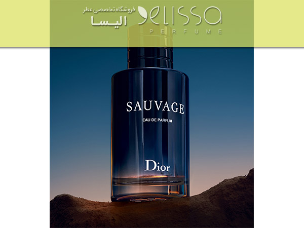 ساواج مردانه sauvage by dior eau de parfum